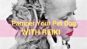 pamepr_your_pet_with_reiki_healing_therapy.png