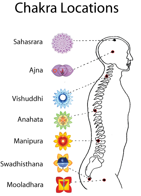 Chakra and Endocrine System