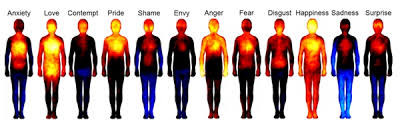 body-parts-and-related-emotions-1.jpg